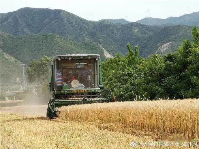 四川高职专科学校食品药品与粮食大类毕业生人数不足1800人