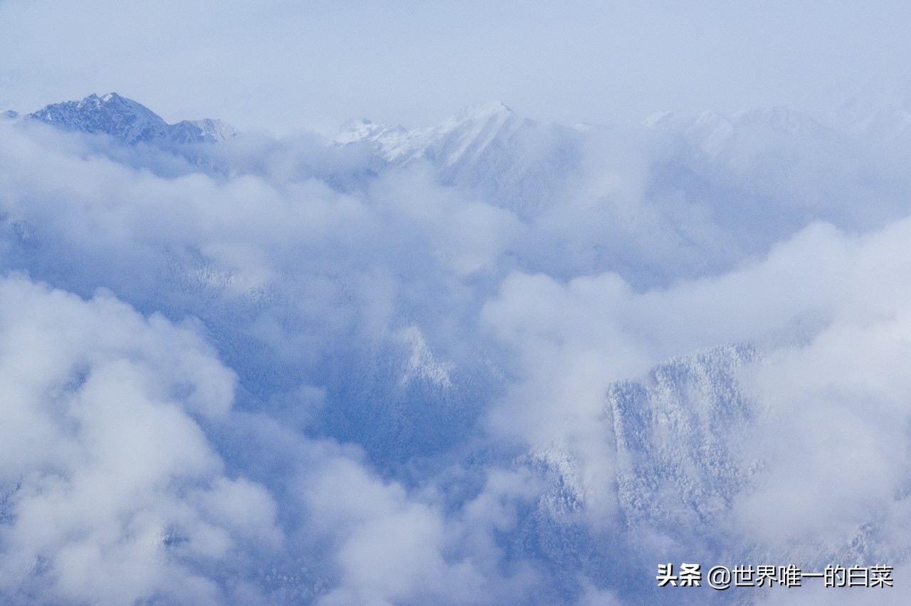 牛背山封了，四人同太苦，还好有亚洲第二360°观景平台满足一切