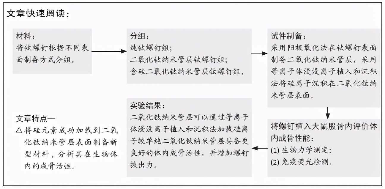 钛螺钉表面含硅二氧化钛纳米管层的体内成骨性能