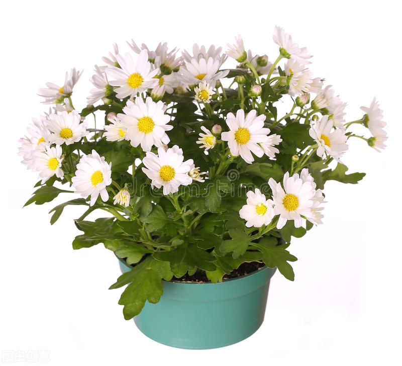 2014北京高考听力真题（36）