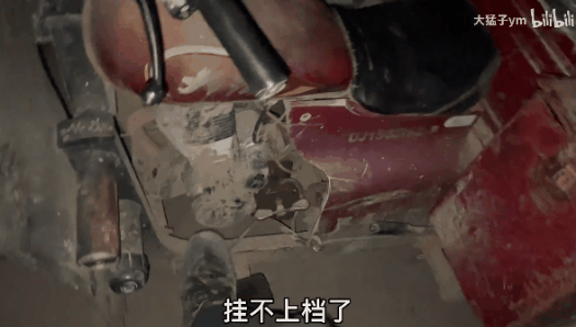 祝大猛子与何同学，都有光明的未来