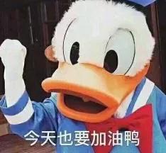 文化300分的我，原来还可以上这些学校！