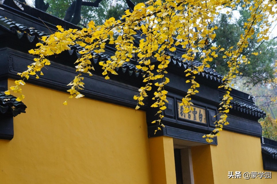 100个形容风景优美的成语，让我们的心情一起美起来！