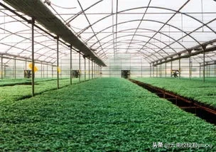 曲靖财经学校有哪些热门专业？