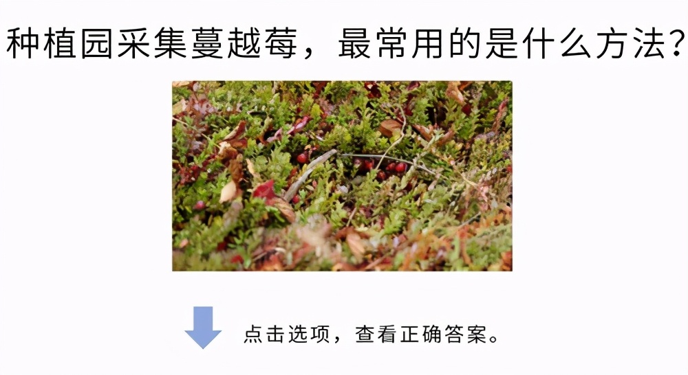 高考大作战！20道冷门又难解的试题等你来解答