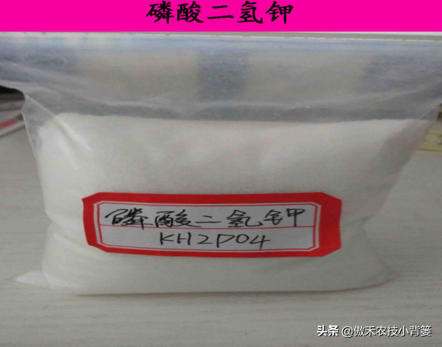 磷酸二氢钾的使用方法和用量（磷酸二氢钾效果最好的方法）