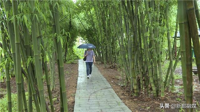 新都新晋网红打卡地——鹿鸣晓院，好一座唯美古风院落