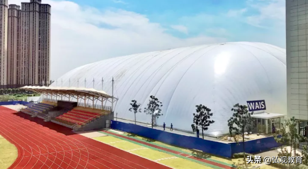 57名毕业生拿到世界名校250＋录取通知书！威雅公学长什么样？