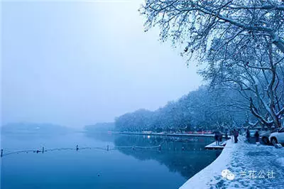 雪花里的诗句