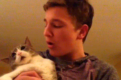 貓咪為啥會揍我？是我做錯了什么嗎？