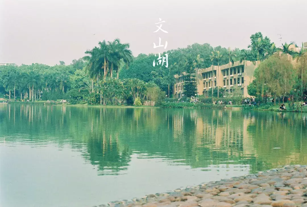 深大：一所非211大学的草根逆袭史