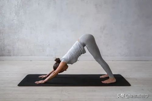 瑜伽动作图片(每天必练的8个瑜伽动作，练完超级舒服)