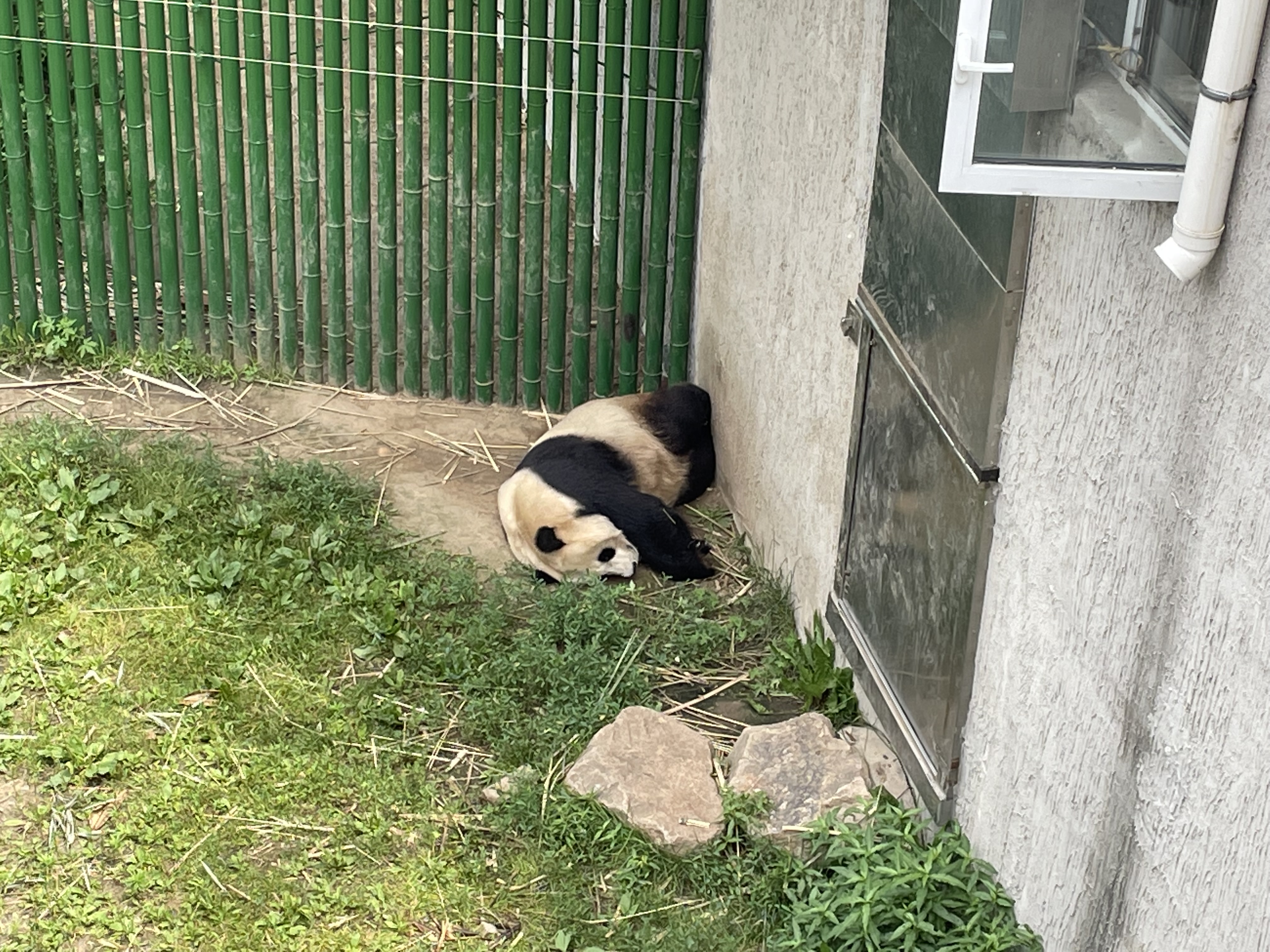 盛夏游沈阳森林动物园