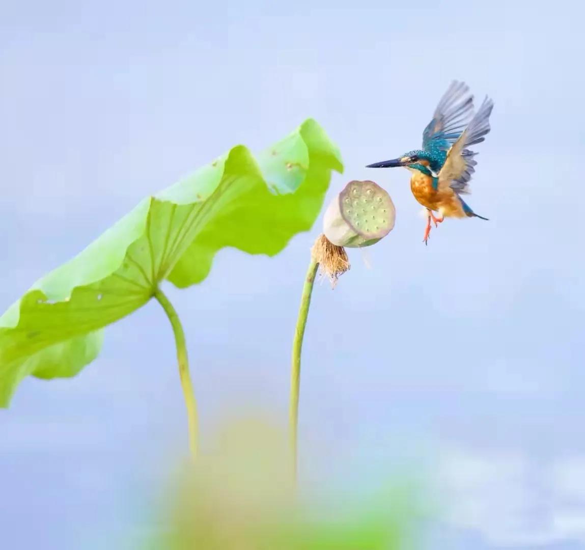 大肚能容：笑对纷争，化戾气为祥和