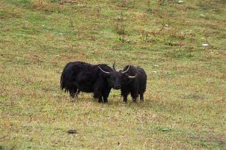环境工程专业什么大学好？环境工程专业大学推荐