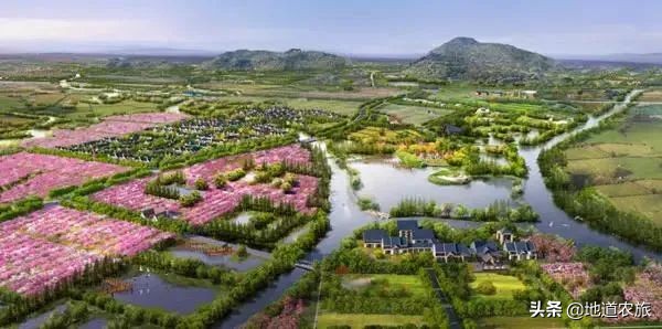 国内第一个盈利的田园综合体，看她有何绝招？