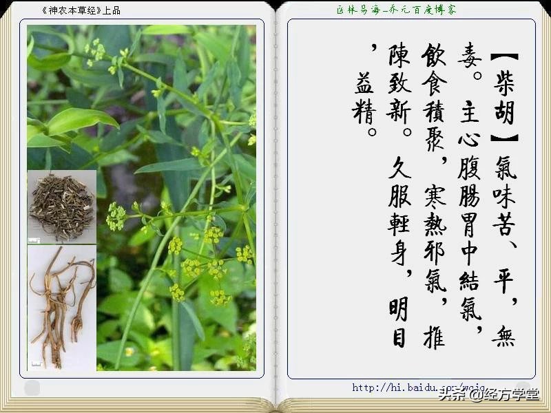 《神农本草经》全册图文解析 建议收藏