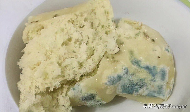 河北邯郸学生家长质疑学校食堂“不干净”被刑拘！食物霉菌怎么看