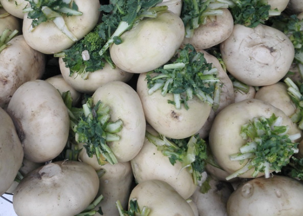 芜菁甘蓝芜菁甘蓝怎么读