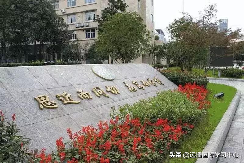 鼎石、包玉刚、世外、深外国际部等三十多所国际学校开放日汇总