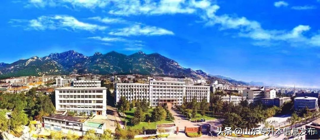 山东专升本各专业对应招考院校分析---计算机科学与技术
