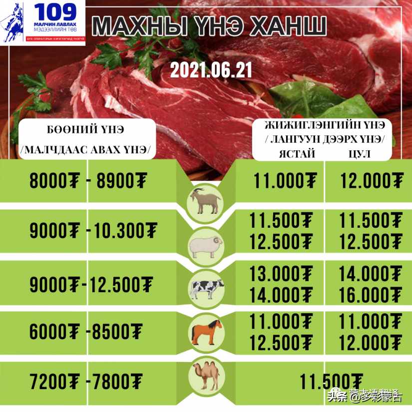 蒙古羊今日价格，羊棒骨今日价格