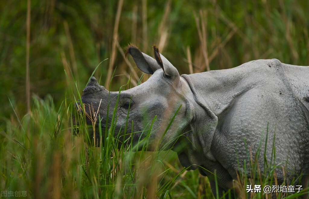 元宇宙：通向下个财富时代的密码，普通人逆袭造富的新机遇