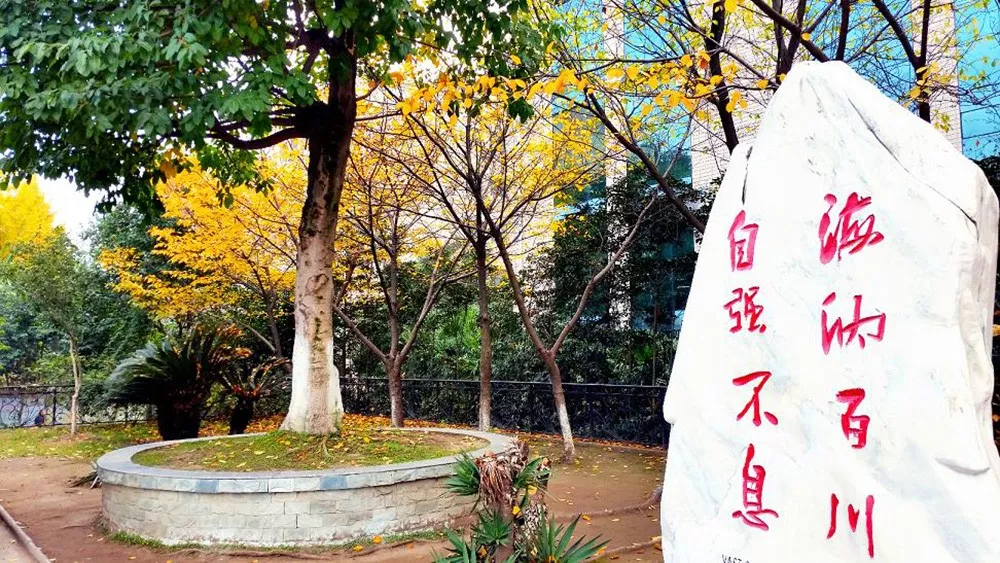 市外招收学生120人！绵阳外国语学校2020年高中招生公告出炉