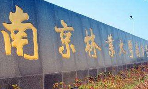 “高考钉子户”25年高考史：不是所有的梦想都值得坚持