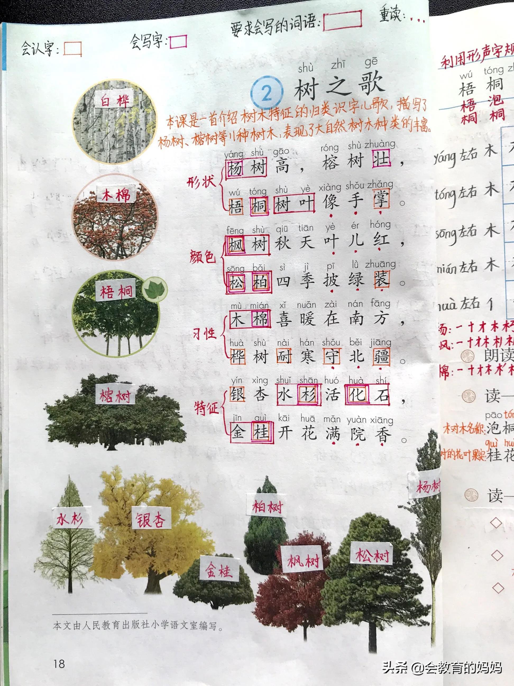 小学二年级语文上册识字2：关于树的优美句子学习