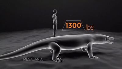 史前时代10大猛兽，霸王龙恐鳄巨齿鲨哪个最强？地球史前巨兽系列