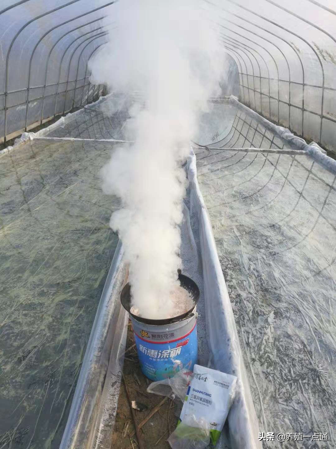 煙熏消毒,煙熏消毒有用嗎效果好不好