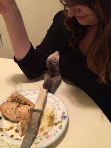 轻松一刻：关于泻火，我有话说