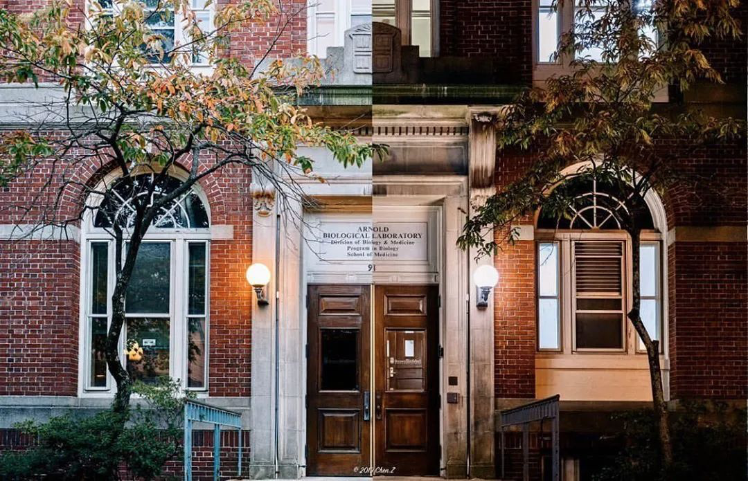 如果你想知道什么是快乐藤校的话，我现在就带你Brown