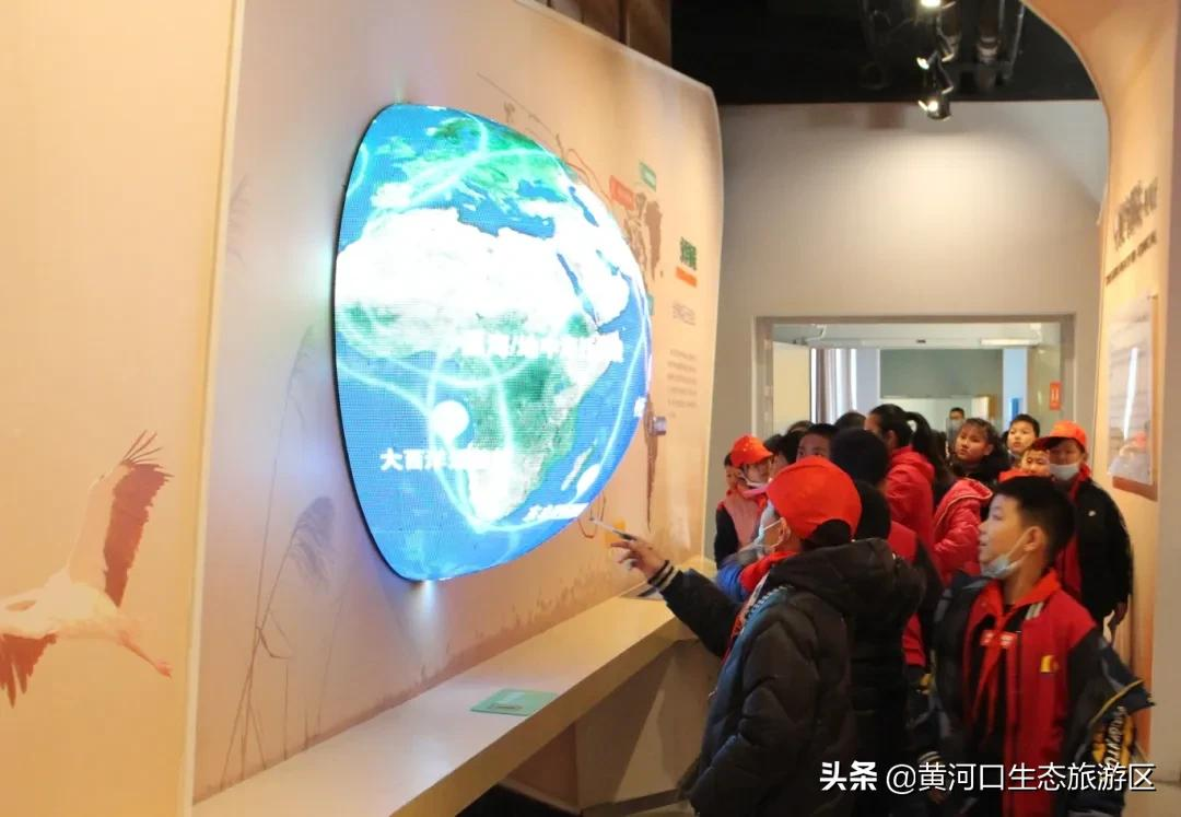【黄河口生态旅游区】“行走黄河口 亲近母亲河”
