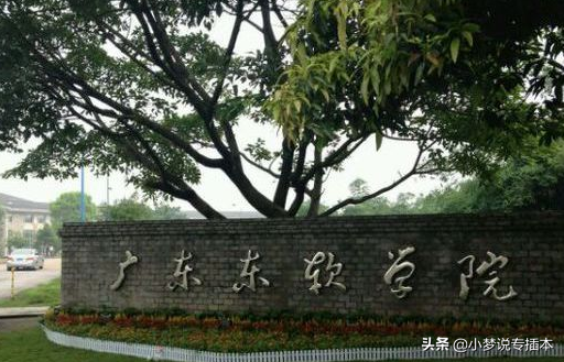 广东省2021年普通高等学校专升本招生简章汇总更新