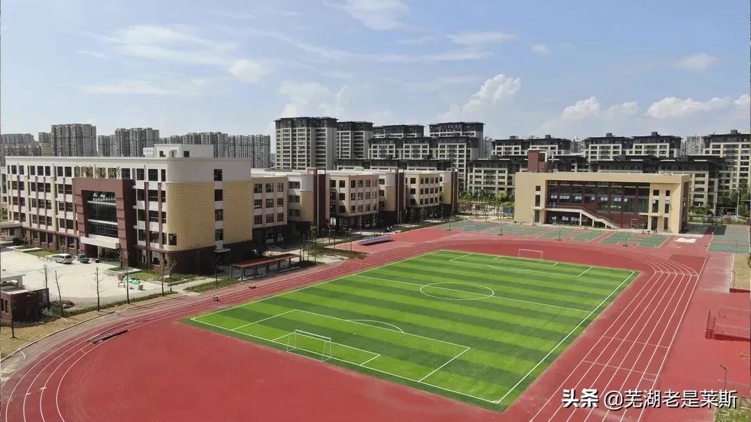 芜湖哪里可以培训篮球(实地探访！芜湖新学校环境、师资大曝光)