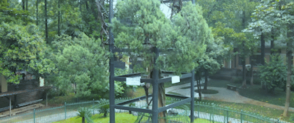 2020荔枝高校大会 | 同学，东南大学“会唱歌的录取通知书”升级版到了