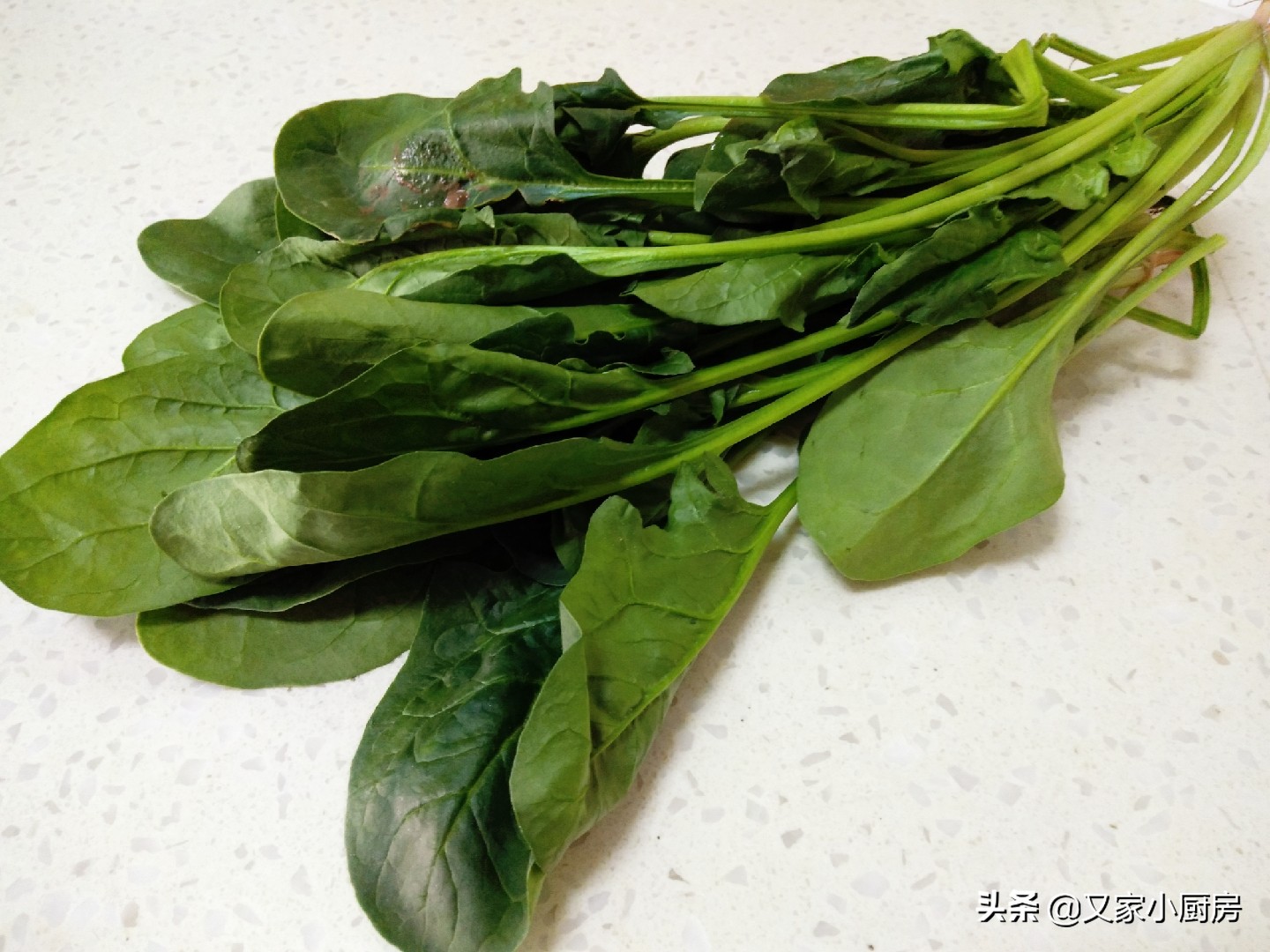 1把菠菜，1碗面，教你在家做陕西特色面食菠菜面，翠绿养眼还好吃