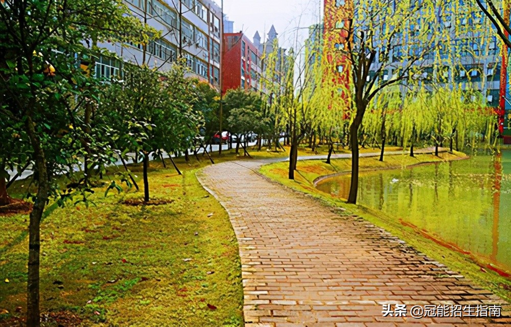 成都2021技术学校排名-成绩不好的初中生适合读什么学校？