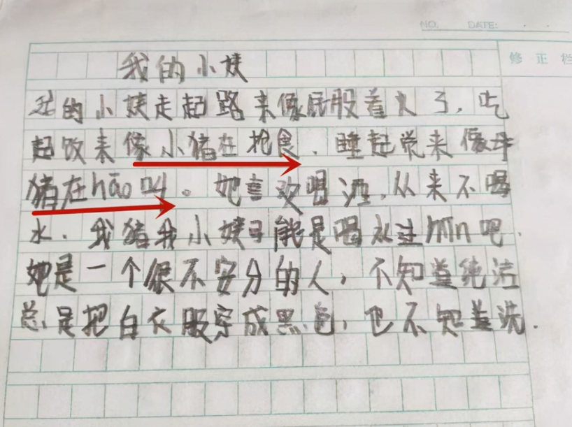 作文《我的小姨》走红，人物描写画面感太强，小姨：鸡毛掸子呢