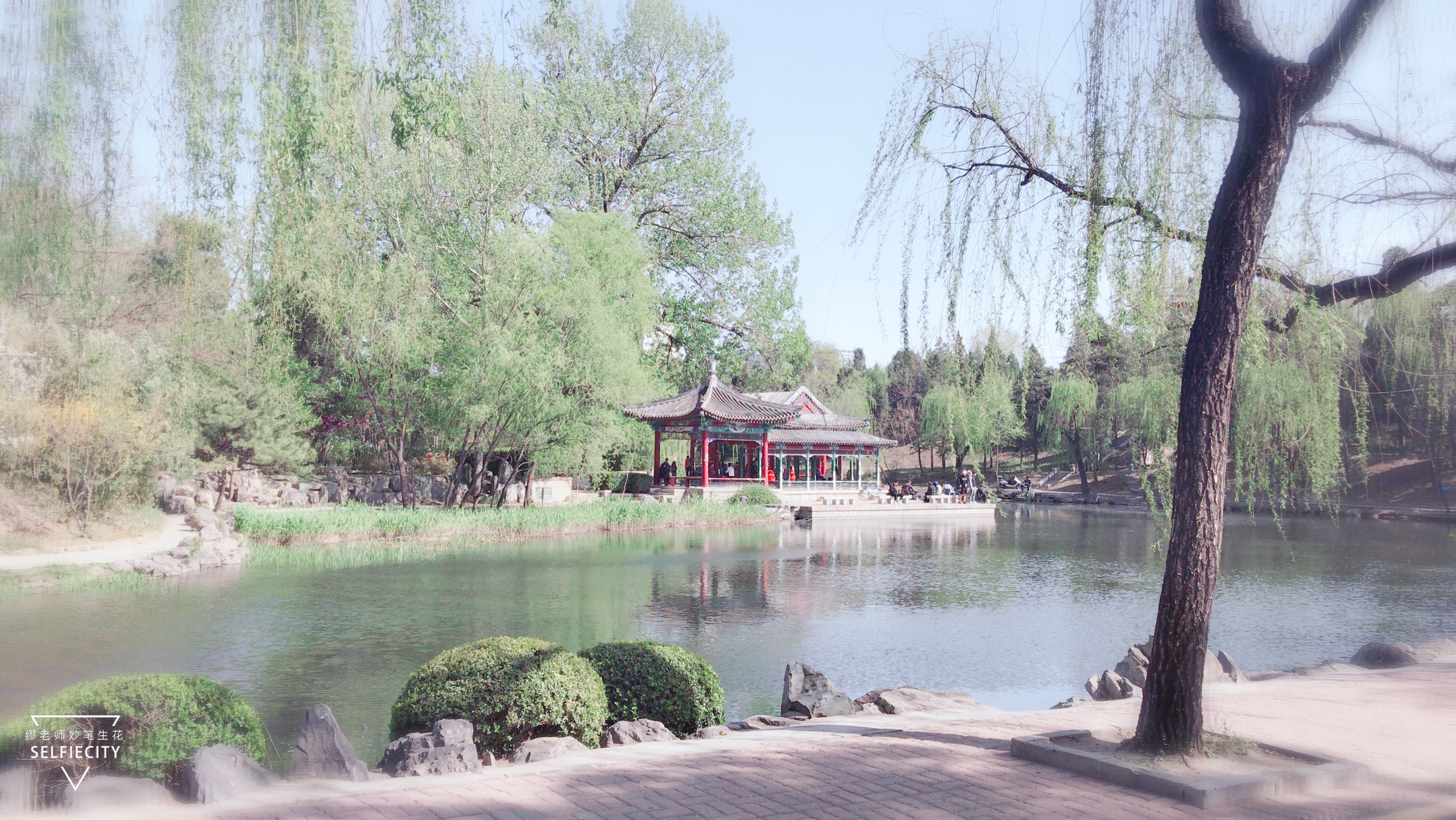 清华大学，当之无愧的“世界一流大学”，专家评议结果就是证明