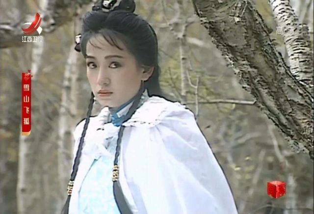 雪山飞狐(1991年孟飞版)导演:李朝永,主演:孟飞,龚慈恩,伍宇娟,汤镇宗
