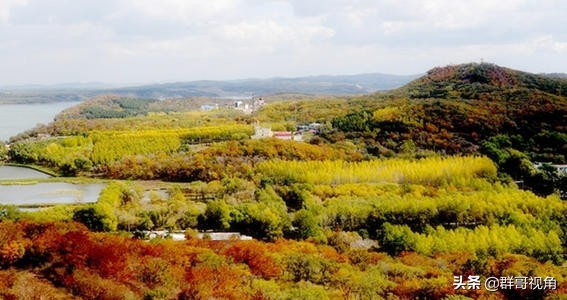 黑龙江省建有高校的2个县