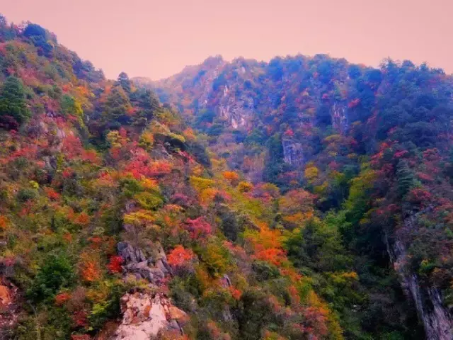 中国醉美秋色在秦岭,2条自驾路线解锁最绚烂秋景,10月最美