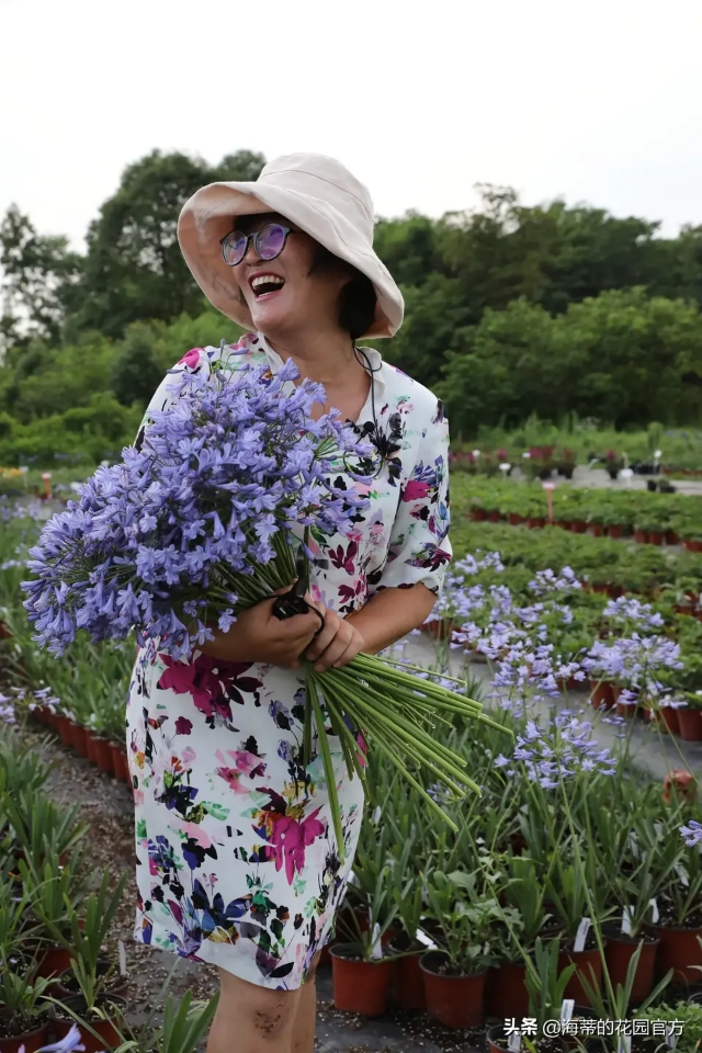 种花12年，她为女儿打造2000平“童话世界”，137万人跟她看春天