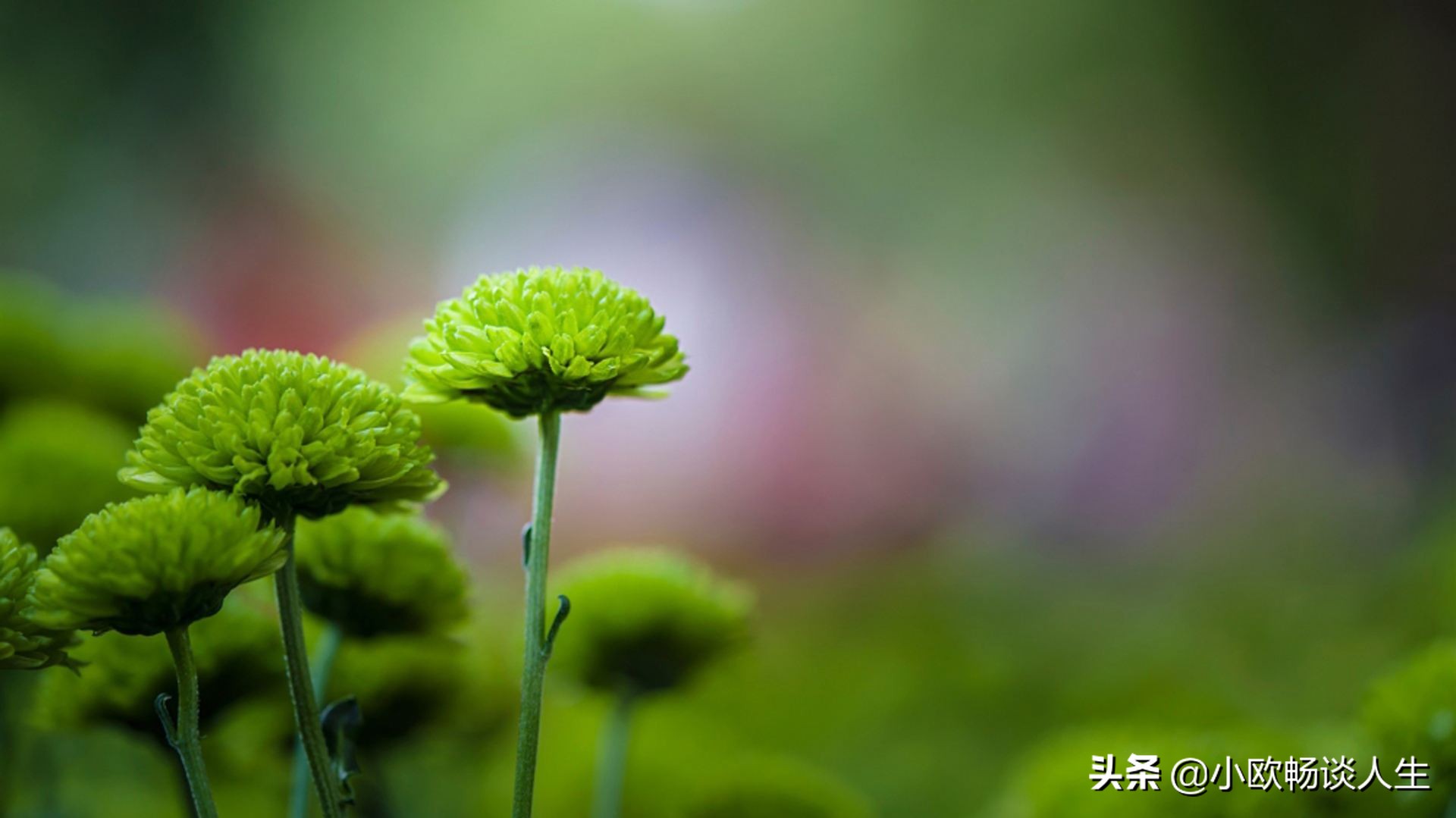 别让自己活得太累，放下沉重的包袱，轻松前行，无愧于心便好