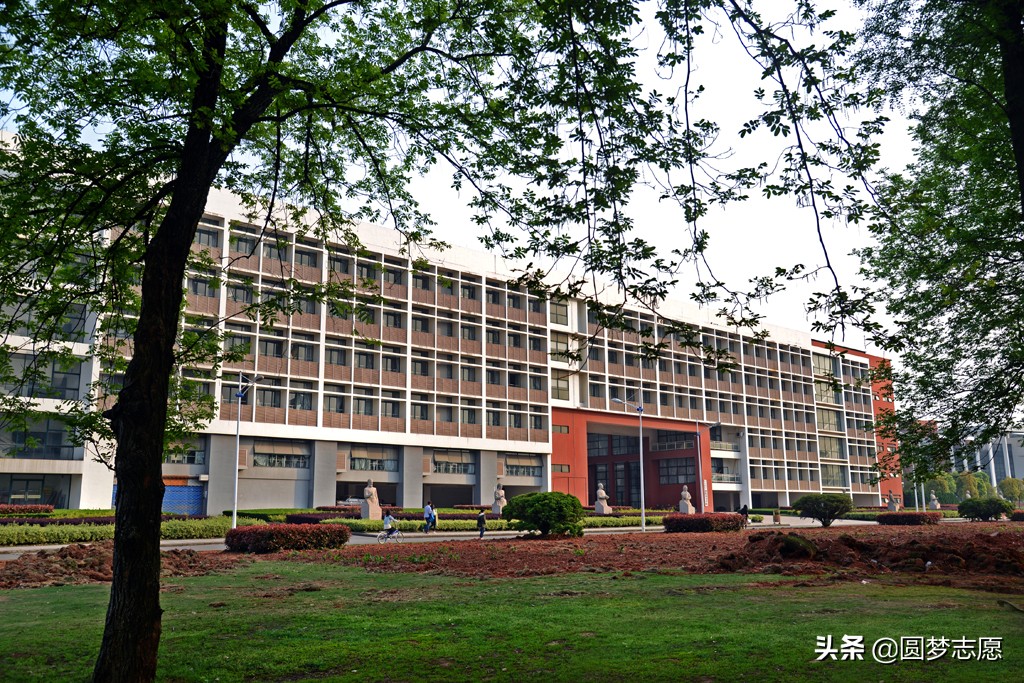 2020年中国专科院校排行榜发布！这5所高职院校就业情况不错