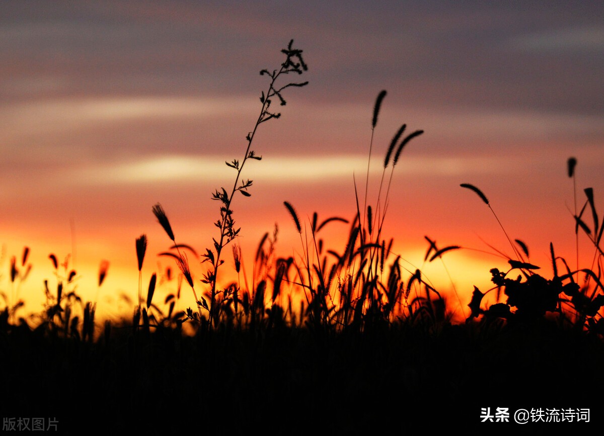 马庆武｜七绝 •秋景