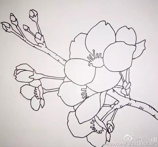 桃花简笔画:一步一步教你画桃花的教程,简单又好看,你想学吗?